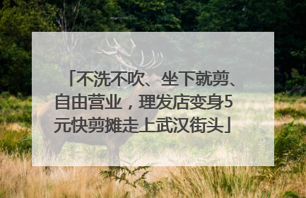 不洗不吹、坐下就剪、自由营业，理发店变身5元快剪摊走上武汉街头