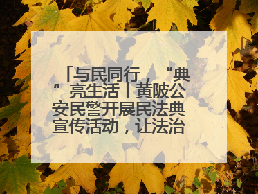 与民同行，“典”亮生活丨黄陂公安民警开展民法典宣传活动，让法治精神在群众心中落地生根