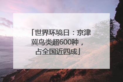 世界环境日：京津冀鸟类超600种，占全国近四成