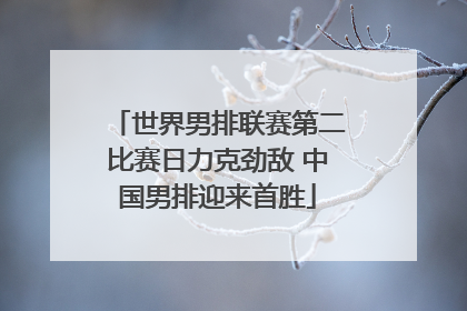 世界男排联赛第二比赛日力克劲敌 中国男排迎来首胜