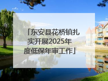 东安县花桥镇扎实开展2025年度低保年审工作