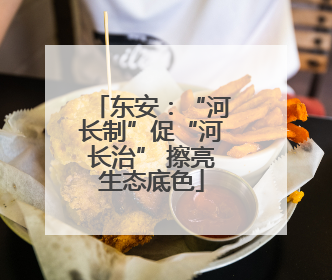 东安：“河长制”促“河长治” 擦亮生态底色