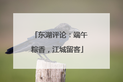 东湖评论：端午粽香，江城留客