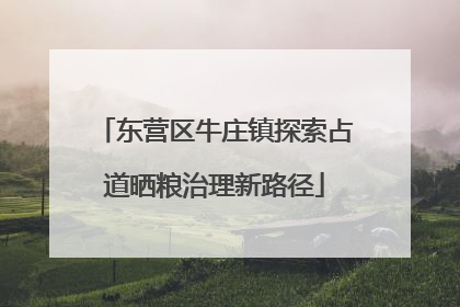 东营区牛庄镇探索占道晒粮治理新路径