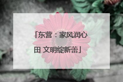 东营：家风润心田 文明绽新蕾
