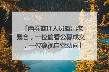 两券商IT人员曝出老鼠仓，一位偷看公募成交，一位窥视自营动向