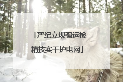 严纪立规强运检 精技实干护电网