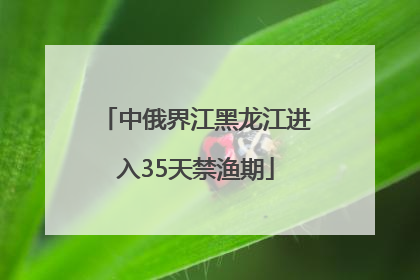 中俄界江黑龙江进入35天禁渔期