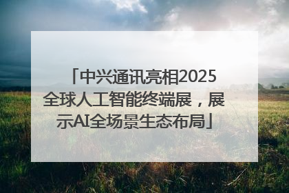 中兴通讯亮相2025全球人工智能终端展，展示AI全场景生态布局