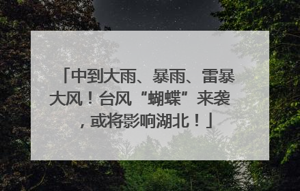 中到大雨、暴雨、雷暴大风！台风“蝴蝶”来袭，或将影响湖北！