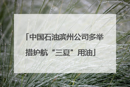 中国石油滨州公司多举措护航“三夏”用油