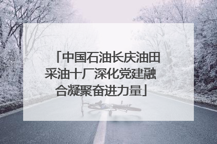 中国石油长庆油田采油十厂深化党建融合凝聚奋进力量