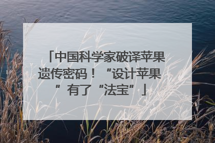 中国科学家破译苹果遗传密码！“设计苹果”有了“法宝”