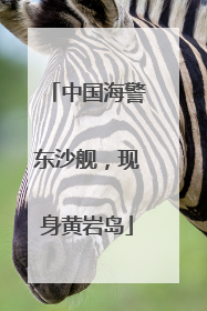 中国海警东沙舰，现身黄岩岛