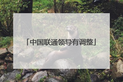 中国联通领导有调整