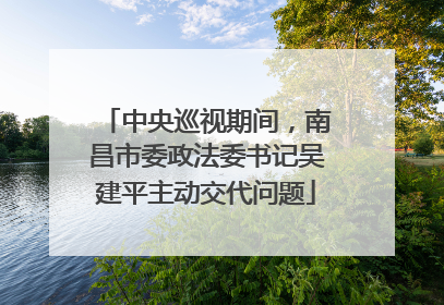 中央巡视期间，南昌市委政法委书记吴建平主动交代问题