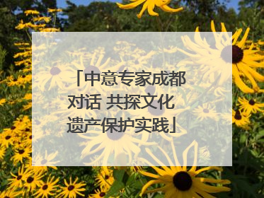 中意专家成都对话 共探文化遗产保护实践