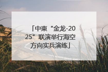 中柬“金龙-2025”联演举行海空方向实兵演练