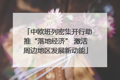 中欧班列密集开行助推“落地经济” 激活周边地区发展新动能