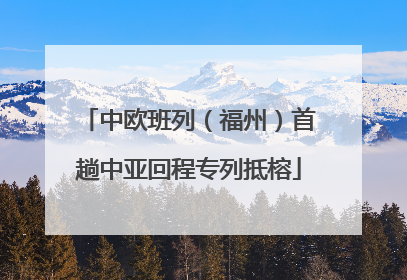 中欧班列（福州）首趟中亚回程专列抵榕