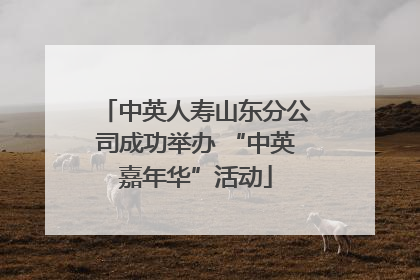 中英人寿山东分公司成功举办 “中英嘉年华”活动