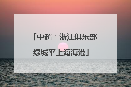 中超：浙江俱乐部绿城平上海海港