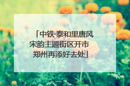 中铁·泰和里唐风宋韵主题街区开市 郑州再添好去处