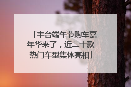 丰台端午节购车嘉年华来了，近二十款热门车型集体亮相