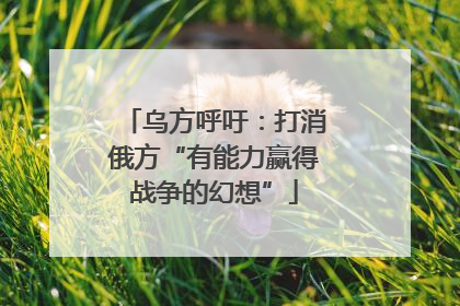 乌方呼吁：打消俄方“有能力赢得战争的幻想”