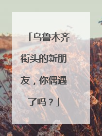 乌鲁木齐街头的新朋友，你偶遇了吗？
