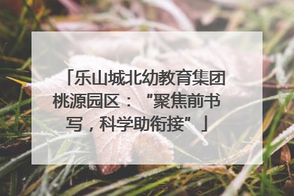 乐山城北幼教育集团桃源园区：“聚焦前书写，科学助衔接”