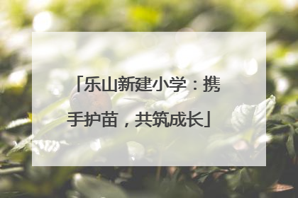 乐山新建小学：携手护苗，共筑成长