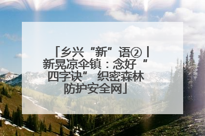 乡兴“新”语②丨新晃凉伞镇：念好“四字诀” 织密森林防护安全网