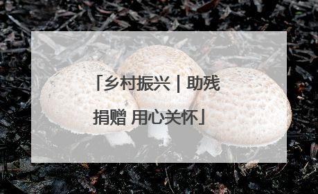 乡村振兴｜助残捐赠 用心关怀