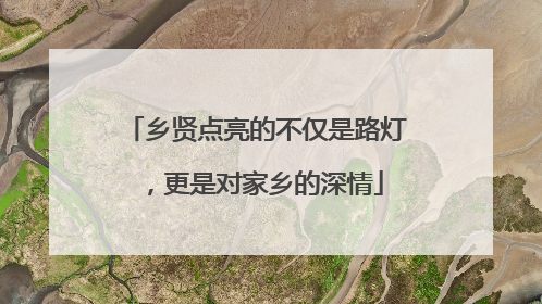 乡贤点亮的不仅是路灯，更是对家乡的深情