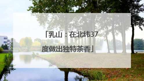 乳山：在北纬37度做出独特茶香