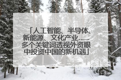 人工智能、半导体、新能源、文化产业……多个关键词透视外资眼中投资中国的新机遇
