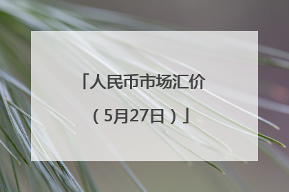 人民币市场汇价（5月27日）