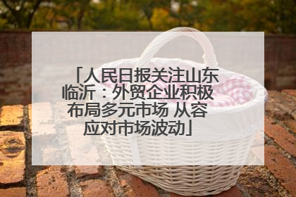 人民日报关注山东临沂：外贸企业积极布局多元市场 从容应对市场波动