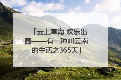 云上草海 欢乐出圈——有一种叫云南的生活之365天