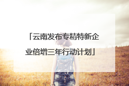 云南发布专精特新企业倍增三年行动计划