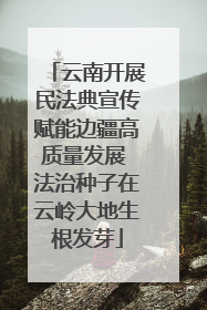 云南开展民法典宣传赋能边疆高质量发展 法治种子在云岭大地生根发芽