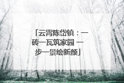 云霄陈岱镇：一砖一瓦筑家园 一步一景绘新颜