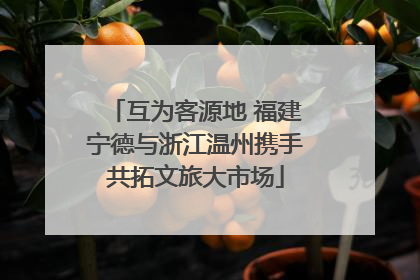 互为客源地 福建宁德与浙江温州携手共拓文旅大市场