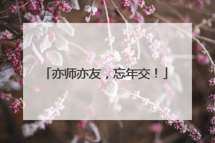 亦师亦友，忘年交！