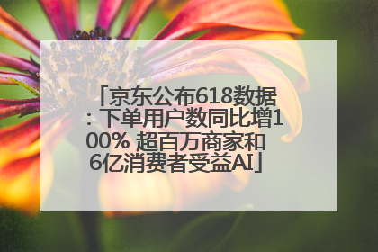 京东公布618数据：下单用户数同比增100% 超百万商家和6亿消费者受益AI