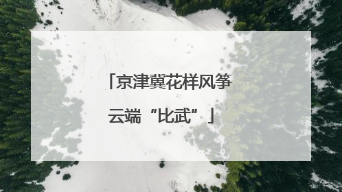京津冀花样风筝云端“比武”