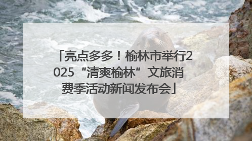亮点多多！榆林市举行2025“清爽榆林”文旅消费季活动新闻发布会