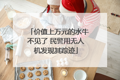 价值上万元的水牛不见了 民警用无人机发现其踪迹