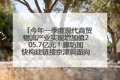 今年一季度现代商贸物流产业实现增加值205.7亿元！廊坊加快构建链接京津冀面向全世界的物流通道